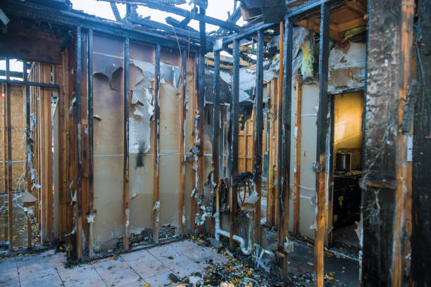 Professional Fire Damage Removal technician working in Nocona, TX